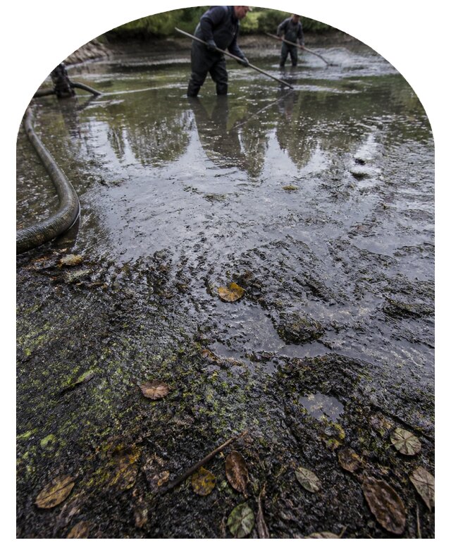Очистка пруда в Энгельсе от ила мусора и водорослей с вывозом
